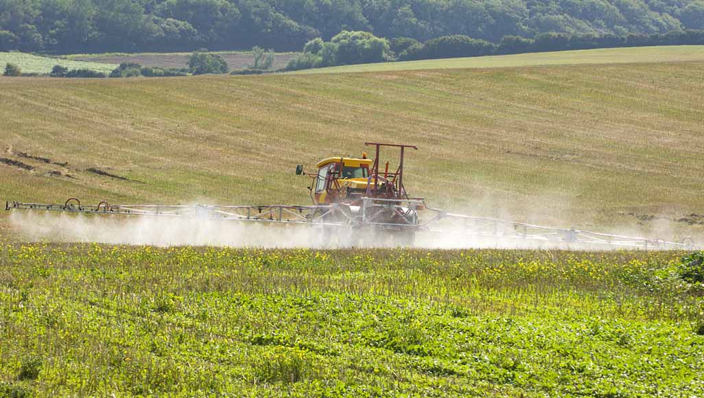 Mutélios aliments contaminés au cadmium, tracteur déposant de l'engrais