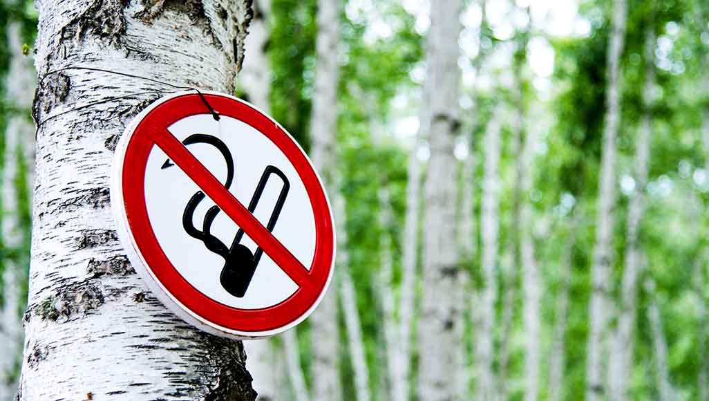 Mutélios feu de forêt, panneau interdisant de fumer dans une forêt