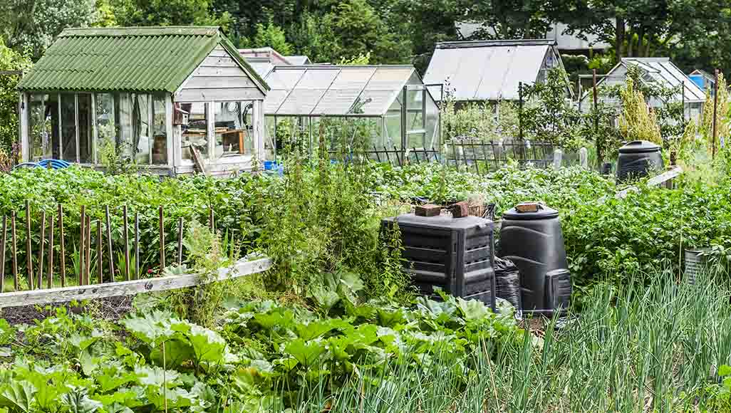 Mutélios jardin communautaire, jardin potager collectif