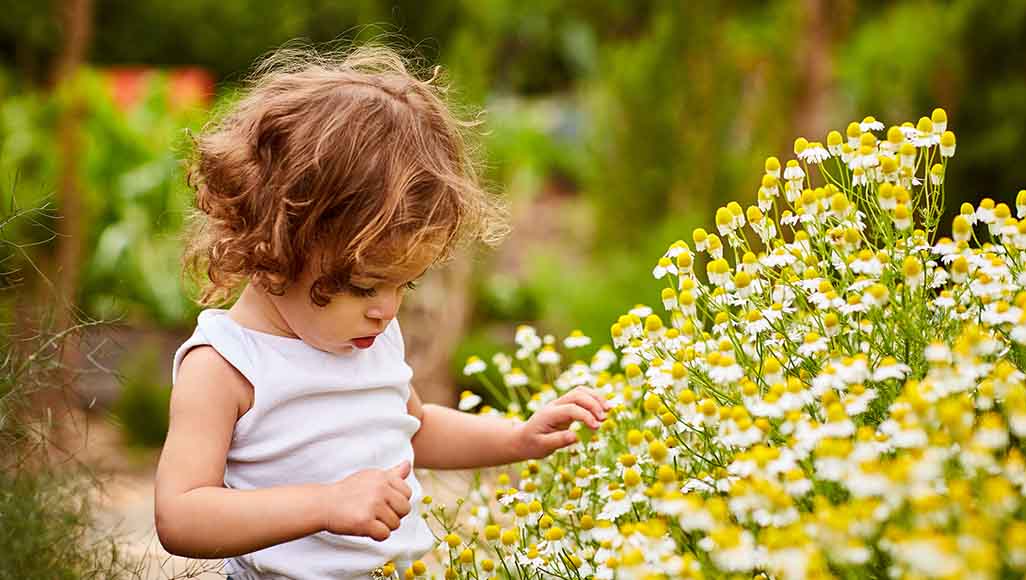 Mutélios stimuler curiosité enfants, enfant regardant des fleurs