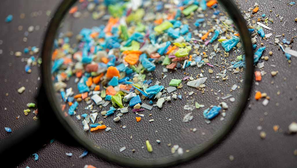 Mutélios microplastiques